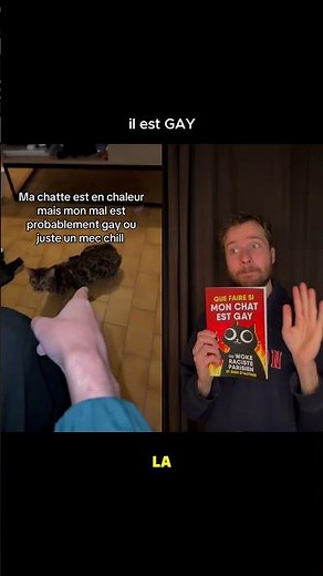 c'est évident là, il est gay ce chat