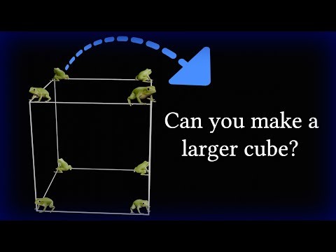 A Fascinating Frog Puzzle