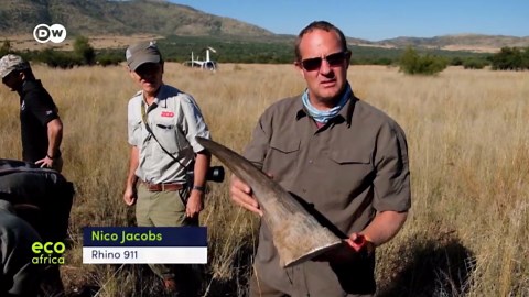 Rhino 911: South Africa takes poaching by the horn