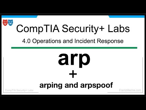 Master the ARP Command | Analyze Local Network Devices for Security+ (Ep.10)
