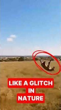 Animal Moments That Look Like a Glitch in Nature (Caught on Camera)