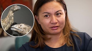Moa de-extinction plans: Greens react, say money would be better spent saving living species