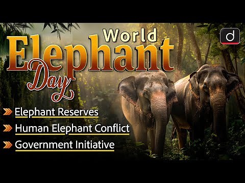 World Elephant Day 2024 | Human Elephant Conflict | Project Elephant | UPSC | Drishti IAS English