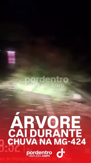 Por Dentro de Tudo | Notícias MG e Brasil on Instagram: "VÍDEO: Chuva forte causa queda de árvore e mobiliza Defesa Civil em Matozinhos na noite desta terça-feira A forte chuva que atingiu Matozinhos na noite desta terça-feira (09) provocou a queda de uma árvore de médio porte na MG-424, nas proximidades da entrada do bairro São Miguel. A Defesa Civil foi acionada e realizou rapidamente a retirada da árvore para liberar a via e evitar transtornos no trânsito. Segundo o agente que acompanhava a o
