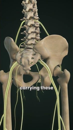 Slip Disc Explained – How Does It Actually Happen? | Dr. Pramod bhilare