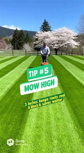 Medford Lawncare Services Contractor Near Me