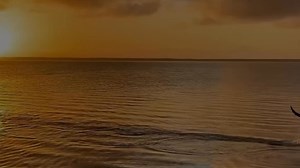 ✨🦘 A powerful symbol of national pride, the kangaroo embodies the spirit, resilience, and natural beauty of Australia. As a result, it takes pride of place on the nation’s signature investment coin series. Available in pure gold, silver and platinum, the globally renowned Australian Kangaroo Bullion Coins are a perfect choice for investors seeking premium precious metals backed by more than 125 years of minting excellence. | The Perth Mint