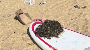 8K views · 312 reactions | Made this fun video with Brilliant friends! Got frustrated swimming in trash and the beach and started day dreaming about what it would be like if the ocean took revenge on litterers… Hope you enjoy! | Lucy Fry | Facebook