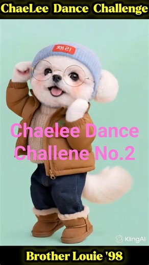 Cute Bichon Dance Challenge #2 채리 댄스 챌린지 #댄스챌린지 #비숑 #강아지 #채리 #강아지댄스 #댄스강아지 #쇼츠 #반려견 #춤추는강아지 #쇼츠