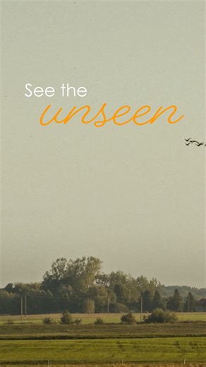 53K views · 168 reactions | Nature hides its most incredible moments in plain sight – if you know where to look. With thermal imaging, you can see the unseen. Observe animals in the dark, explore untouched habitats, and reveal wildlife without disturbing it. See the unseen. | Pulsar Wildlife | Facebook