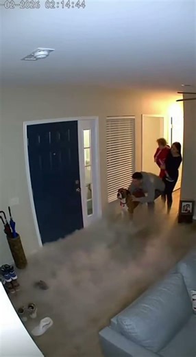 Dog save Family Life . #dogsavelife #cctvfootage