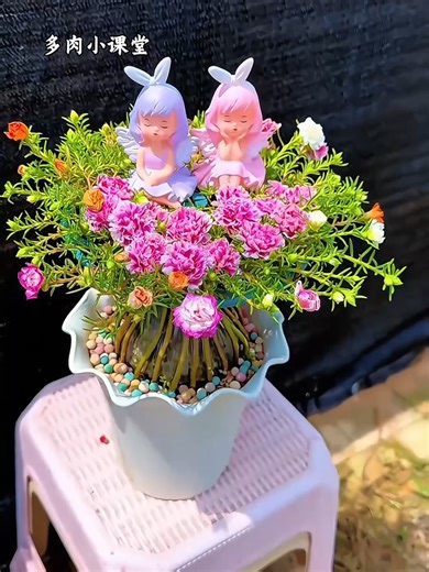 Mastering Portulaca Bonsai Gardening Techniques
