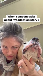 Dog’s Adoption Story according to my dog 😂😂 ➡️ SHARE with a DOG OWNER #adoptadog | Amos Pearce
