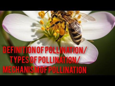 Definition of pollination/ types of pollination/ Mechanism of pollination