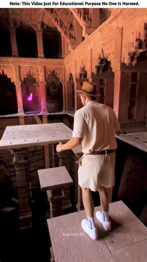 The Forbidden Fruit Game 🤩