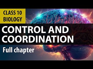 Control and Coordination Video Lecture - Crash Course Class 10