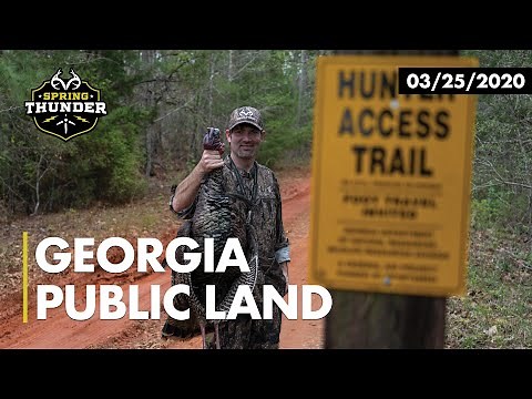 Georgia Public Turkey Hunting | Midday Gobbler | Realtree's Spring Thunder