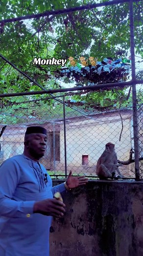 Aduramigba imoleayo (@aduramigba01)’s videos with original sound - Aduramigba imoleayo