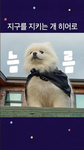 지구를 지키는 개 히어로