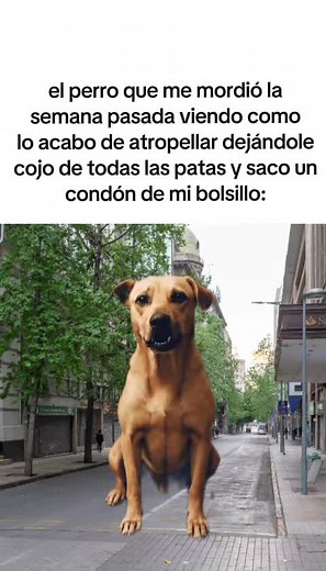 Videos de Mini pekka CR2 (@mini_pekka_cr2) con “sonido original - Mini pekka CR2”