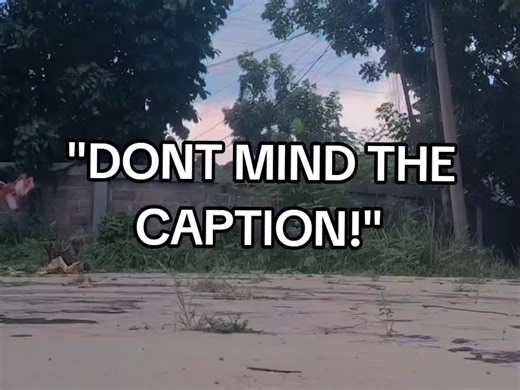 Discover the Power and Luxury of the BMW M3