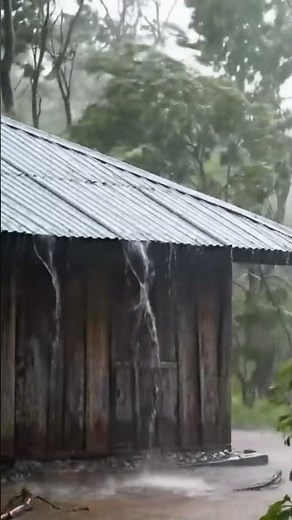 Beat Insomnia with Real Hurricane, Tropical Heavy Rainstorm on Tin Roof, Storm Wind & Strong Thunder