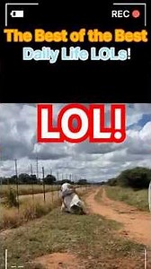 😄 “The Best of the Best: Daily Life LOLs! | 일상 속 빵 터지는 순간들!