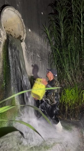 Intergalactic Fishing Adventure: Encounter Alien Fish