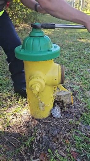 why fire hydrant are everywhere #shorts #fyp