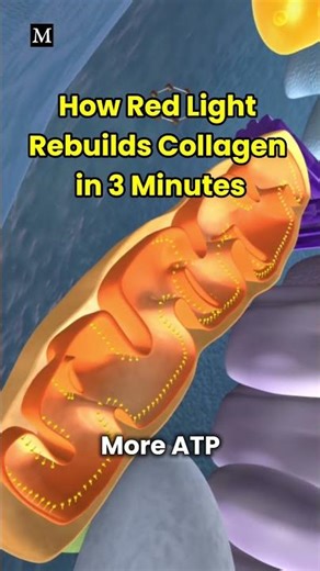 The 3-Minute Red Light Protocol for Collagen Support