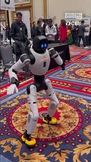 Agibot’s Photonic-Powered Humanoid Robot