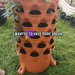 CNN recommended vertical garden planter with integrated composting ⭐⭐⭐⭐⭐ ​ Harvest the same yield as a full size yard in just 4 square feet, growing up to 50-plants with minimal footprint. ​ ​ "I have 3 and will be ordering another. I switched from the Greenstalk system and will never go back. This system is simply superior in every possible way. The quality of components, ease of use and the fact it is made in the USA make it incomparable! ~ Donna M. ⭐⭐⭐⭐⭐ ​ ​ Hundreds more reviews and a galler