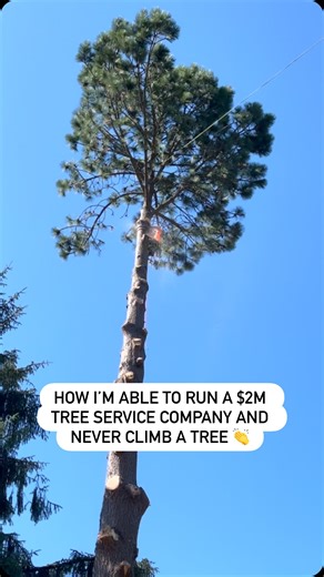 Sadi Ingallina | Tree Service Business Coach on Instagram: "You don’t need to climb to run a successful tree service company… What you do need? Clear systems, strong leadership, and a team you truly value. I run a $2M+ tree service business—and I’ve climbed once. My job is to lead the company, set the vision, and create the structure that allows the real experts—my crew—to do their work safely and efficiently. Here’s what makes that possible: ✔️ I value my team – These guys are the backbone of t