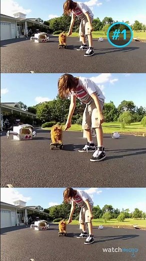 ¡Extraterrestres más Aterradores! 👽😱