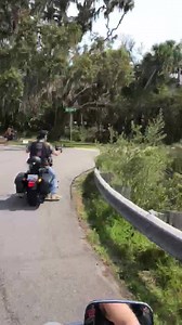 71 reactions · 24 shares | Sit back, relax, and enjoy a quick ride through the tunnel of trees. #DaytonaBikeWeek | Foremost Insurance | Facebook