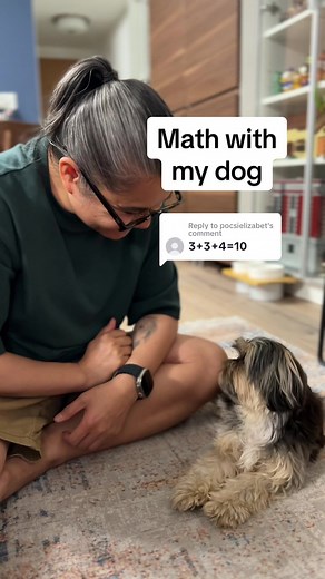 Dog Math: Can Dogs Solve Math Problems?