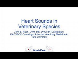 Heart Sounds in Veterinary Species- CardioRush