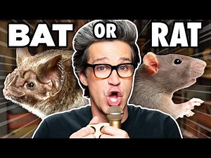 Make These Sounds With Just Your Mouth (ft. Justin Long)