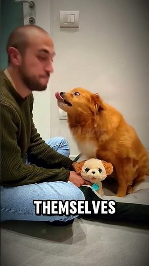 Dogs Get Jealous Like Humans — The Science Behind Their Behavior