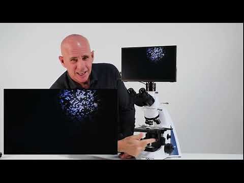 Installation of Dark Field Condenser on i4 Microscope