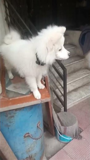 “INSANE Beat Sync Edit 🔥 | Smooth Transitions & Cinematic Vibes 💯”