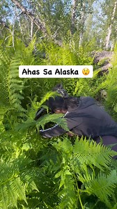 Buti na lng😲😅 #pinaysaalaska #buhayprobinsya #buhayalaska #fbreels2025 | Pinay sa Alaska