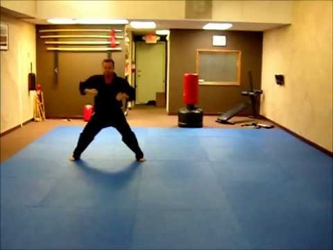 Hansuki - Kempo form
