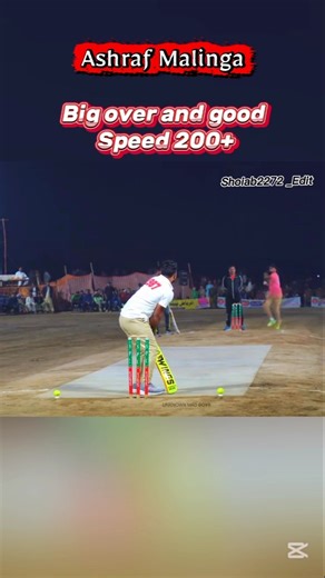 O best over bowling speed 200+😱😱 #bigbashleague #cricket #sports #shorts