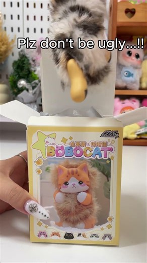 BOBOCAT Hug Cat SECRET is here!!#didapop #plush #fyp#blindbox#cute