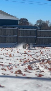 Emily Brown on Reels