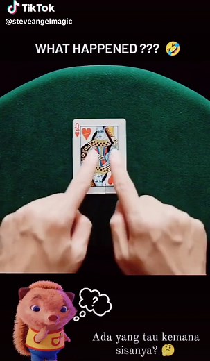 Steve Angel Magic on TikTok