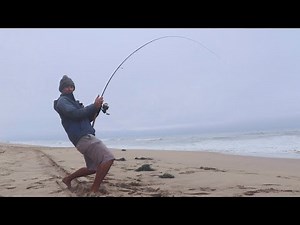 Surf Fishing the California Coast (Unexpected Catch x2)