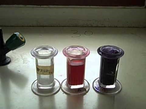 Microscopic Staining for Blood Parasites - Multi-Lingual Captions