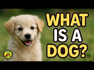 What Is a Dog? 🐶 | Learn about Dogs | Animal Facts for Kids | Animals Made Easy